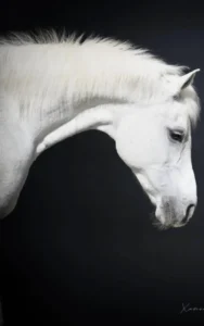 Photo de AGATHA DES AUBUES, pur-sang arabe passé au Haras de la Chataignière - Des Aubus