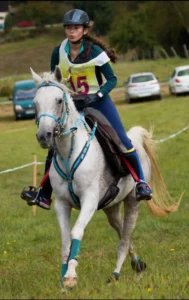 Photo de ASRENA, pur-sang arabe passé au Haras de la Chataignière - Des Aubus