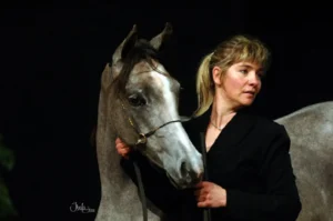 Photo de FIDJI DES AUBUES, pur-sang arabe passé au Haras de la Chataignière - Des Aubus