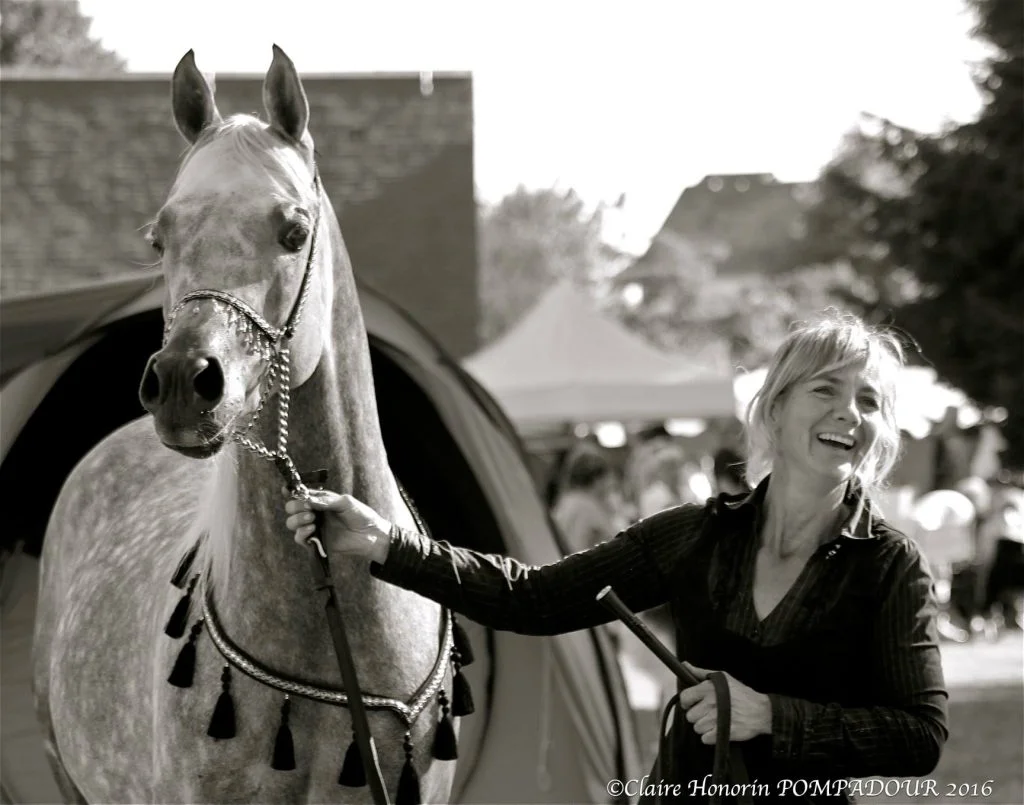 Photo Katell Lucas - Des Aubus Arabian Horses