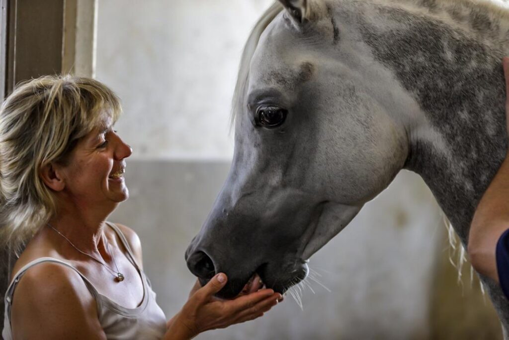 Photo Katell Lucas - Des Aubus Arabian Horses