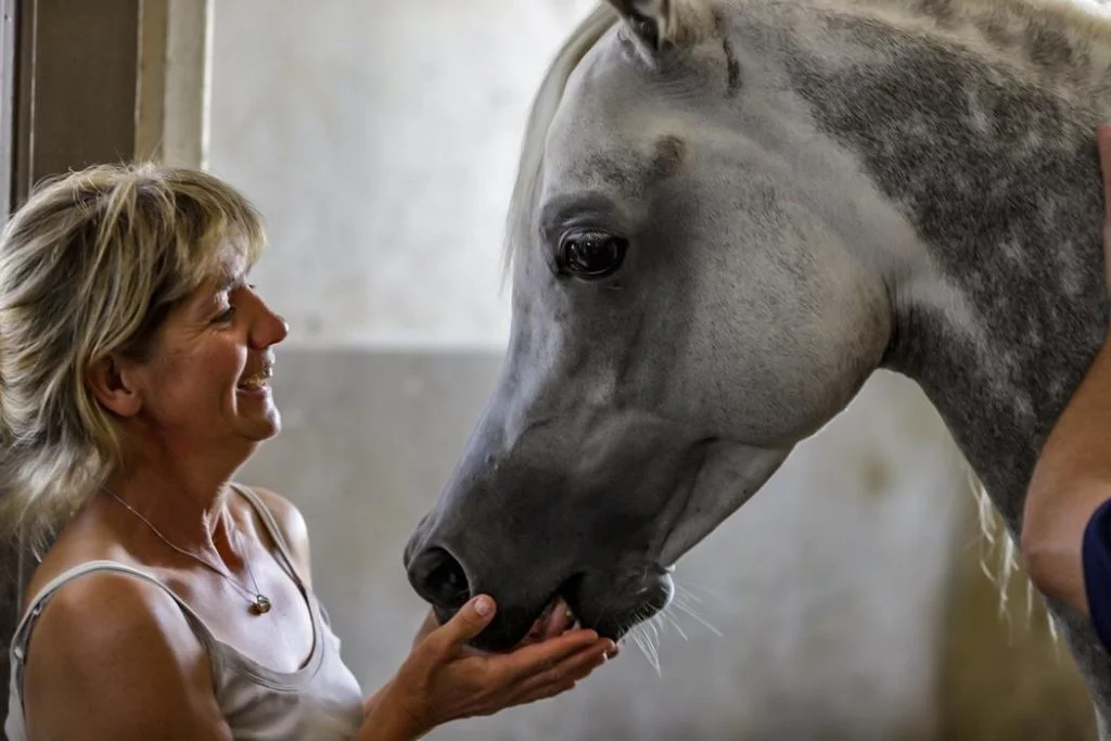 Photo Katell Lucas - Des Aubus Arabian Horses