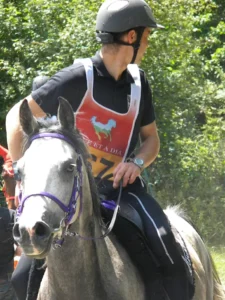 Photo de LENT DES AUBUS, pur-sang arabe passé au Haras de la Chataignière - Des Aubus