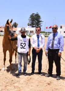 Photo de LONGAYRIA DES AUBUES, pur-sang arabe passé au Haras de la Chataignière - Des Aubus