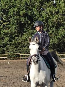 Photo de LARISMA DES AUBUES, pur-sang arabe passé au Haras de la Chataignière - Des Aubus
