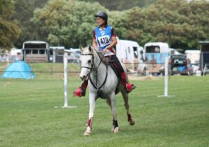 Photo de MUSCATINA DES AUBUES, pur-sang arabe passé au Haras de la Chataignière - Des Aubus