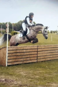 Photo de ROSCOFF DES AUBUES, pur-sang arabe passé au Haras de la Chataignière - Des Aubus