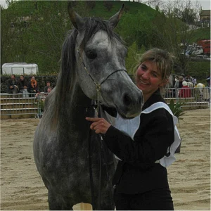 Photo de TEQUILA DES AUBUES, pur-sang arabe passé au Haras de la Chataignière - Des Aubus