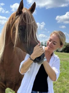 Photo de YALMILK DES AUBUS, pur-sang arabe passé au Haras de la Chataignière - Des Aubus