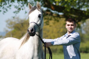 Photo de MYTARABIA DES AUBUES, pur-sang arabe passé au Haras de la Chataignière - Des Aubus