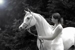 Photo de OCCITANIA DES AUBUES, pur-sang arabe passé au Haras de la Chataignière - Des Aubus