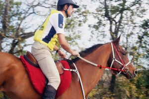 Photo de NARAX DES AUBUS, pur-sang arabe passé au Haras de la Chataignière - Des Aubus
