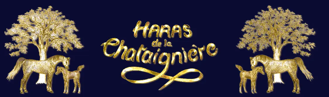 Logo du Haras de la Chataignière