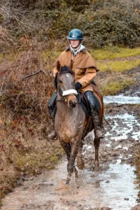 Photo de NERVIN D'HYBRIS, pur-sang arabe passé au Haras de la Chataignière - Des Aubus