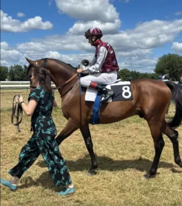 Photo de SIMPLEX HEROS AA, pur-sang arabe passé au Haras de la Chataignière - Des Aubus