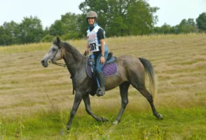 Photo de PRIMA DE RIPAUD, pur-sang arabe passé au Haras de la Chataignière - Des Aubus
