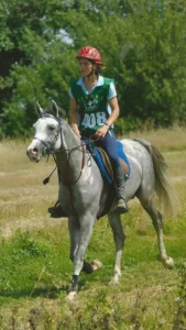 Photo de TALEM ALBA LA SOURCE, pur-sang arabe passé au Haras de la Chataignière - Des Aubus